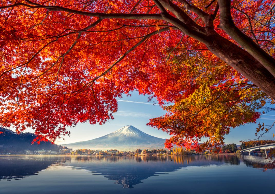 Japan | Feb 2027