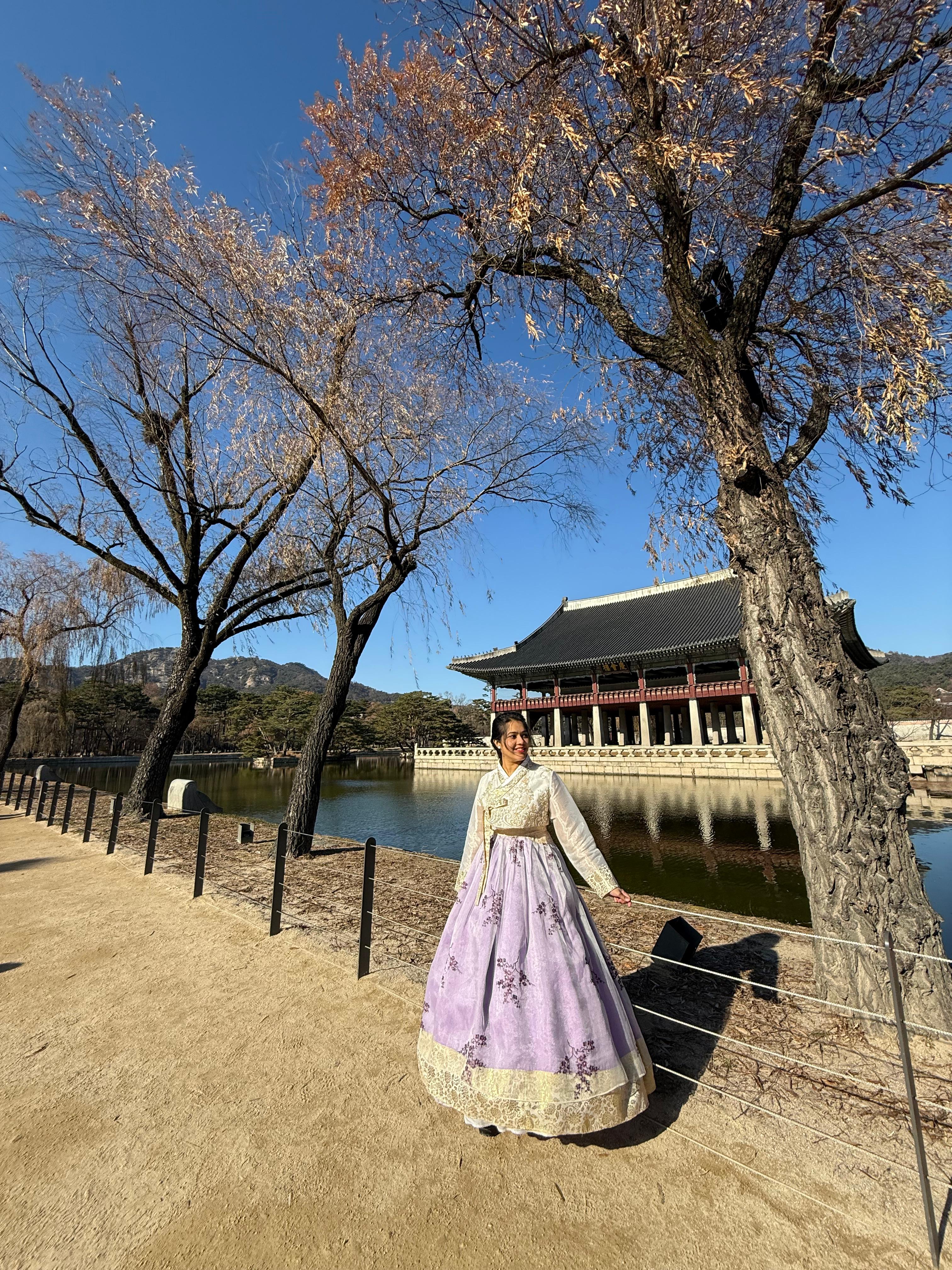 Traveler in hanbok beneath an autumn tree